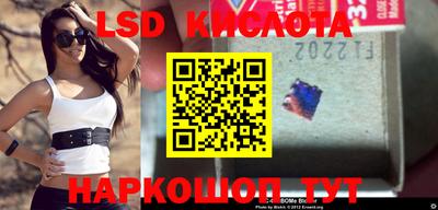 молекула духа Ставрополь