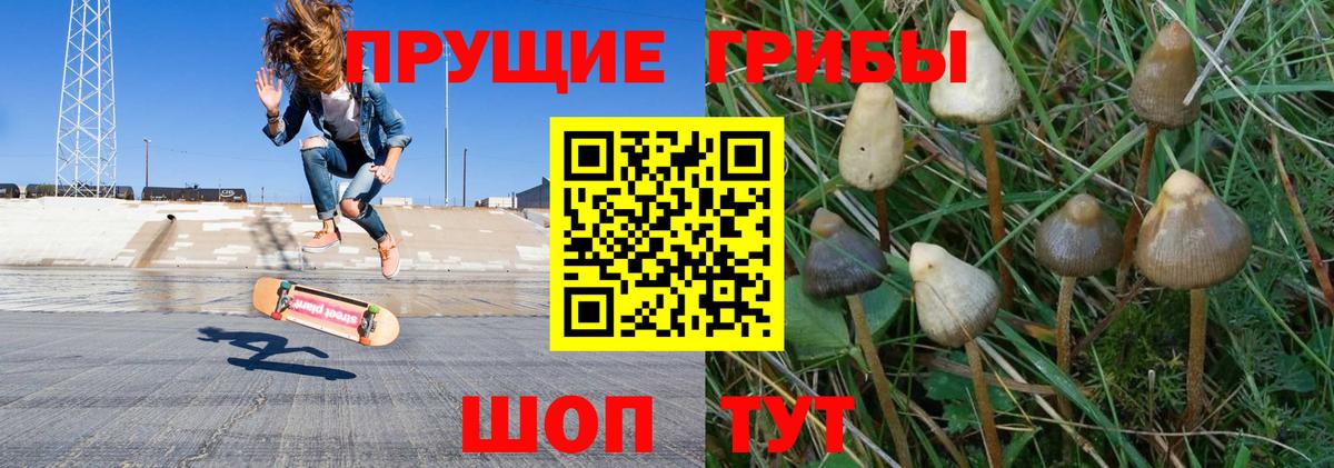 Псилоцибиновые грибы мицелий Петропавловск-Камчатский