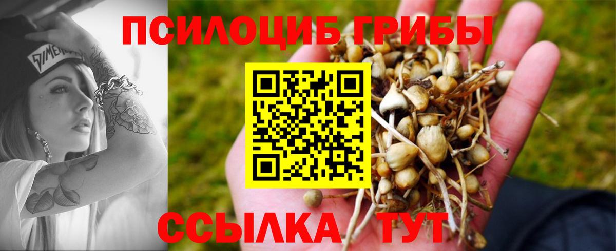 Петропавловск-Камчатский  Галлюциногенные грибы GOLDEN TEACHER  Вход с VPN 